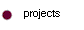  projects 