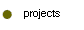  projects 